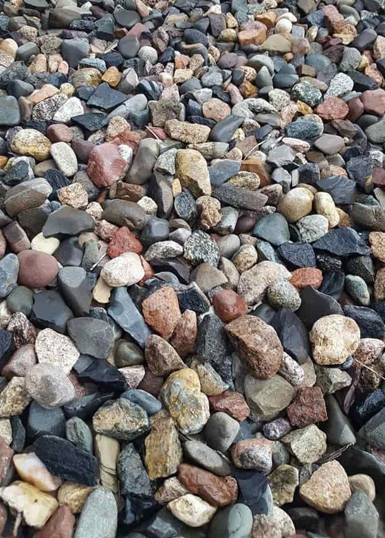 صورة رقم 1 - اختبر نفسك: لغز يصعب حله.. اعثر على الضفدع في 11 ثانية صورة رقم 1 - اختبر نفسك: لغز يصعب حله.. اعثر على الضفدع في 11 ثانية