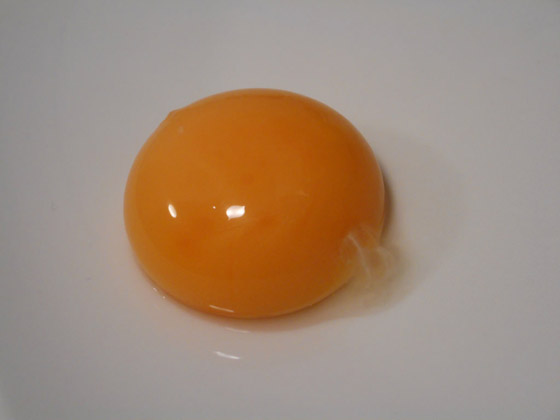 هل صفار البيض مضر بالصحة؟ اعرف الإجابة صورة رقم 6