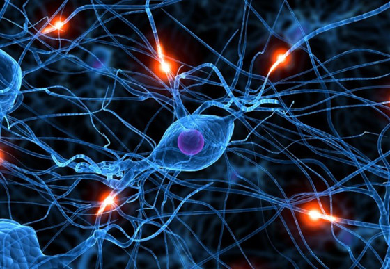 تعيد نمو الأعصاب.. 