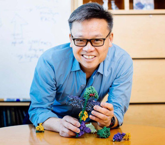 تعيد نمو الأعصاب.. 