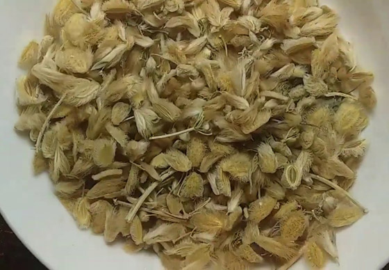 يعالج مشاكل القولون ويساعد على زيادة الوزن.. فوائد الكمون الصوفي الطبية صورة رقم 4 يعالج مشاكل القولون ويساعد على زيادة الوزن.. فوائد الكمون الصوفي الطبية صورة رقم 4