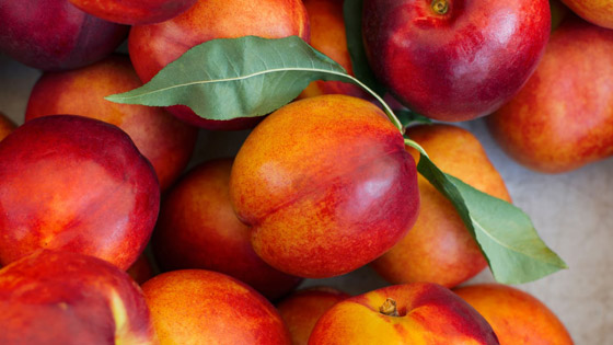 تقي من السرطان وتحمي الجلد.. فوائد فاكهة النكتارين الصحية والغذائية صورة رقم 4