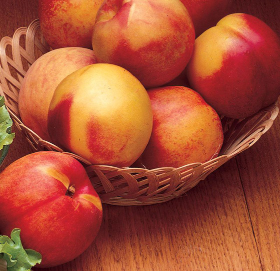 تقي من السرطان وتحمي الجلد.. فوائد فاكهة النكتارين الصحية والغذائية صورة رقم 6