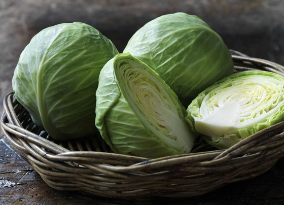 8 أطعمة تقوي المناعة وتقاوم الإنفلونزا في فصل الشتاء صورة رقم 8 8 أطعمة تقوي المناعة وتقاوم الإنفلونزا في فصل الشتاء صورة رقم 8