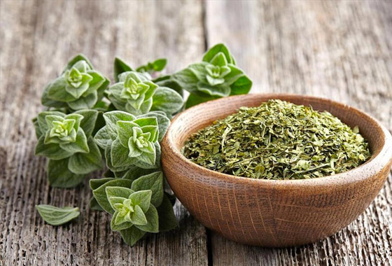 الزعتر.. رفيق الطهاة لأشهى المأكولات صورة رقم 2