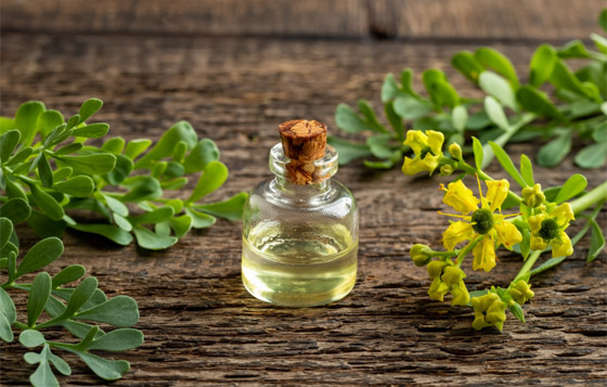 تعزز صحة القلب وتعالج التهابات المفاصل.. فوائد 