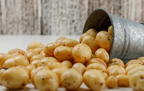 7 أطعمة صحية ومجربة يمكن تجربتها لزيادة وزنكم بشكل صحي صورة رقم 4