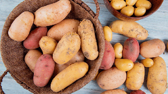 البطاطا الحلوة.. أصناف وألوان بفوائد جمة صورة رقم 8