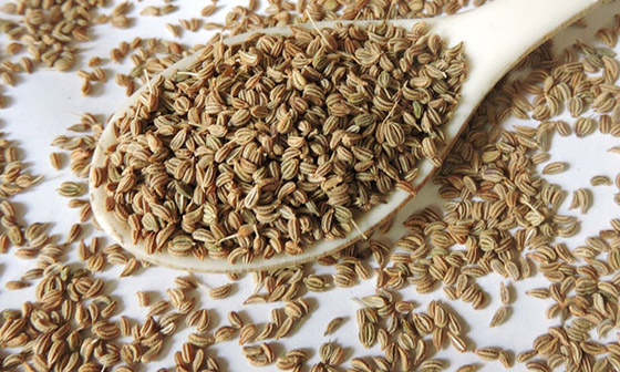 استخدمها الفراعنة لتفتيت حصوات الكلى.. 6 فوائد صحية لبذور الخلة صورة رقم 2