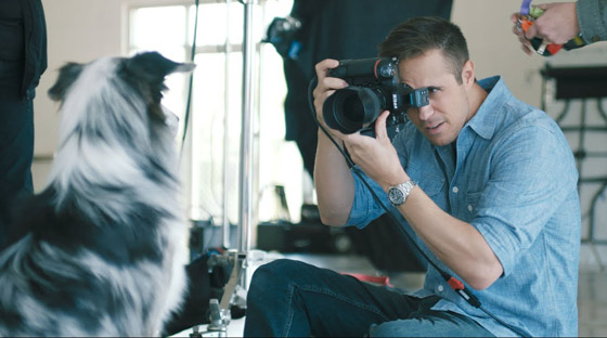 صورة رقم 8 - بينها أسود ونمور.. حيوانات تدخل استديو أمريكي لالتقاط صورة شخصية صورة رقم 8 - بينها أسود ونمور.. حيوانات تدخل استديو أمريكي لالتقاط صورة شخصية