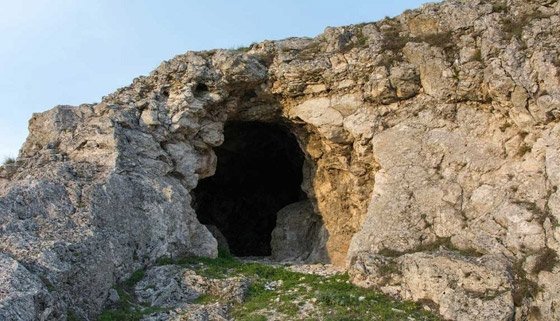    4 -     ȿ