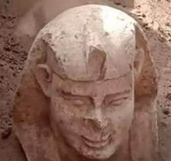 صورة رقم 1 - كتشاف تمثال لأبو الهول بـ صورة رقم 1 - كتشاف تمثال لأبو الهول بـ