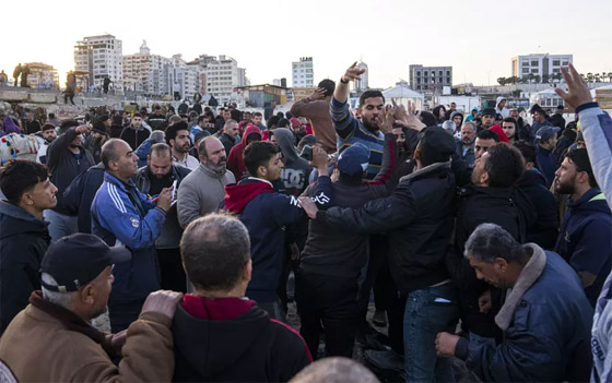 صورة رقم 2 - فيديو: شياطين البحر تغزو سواحل غزة .. وأهل القطاع يصطادونها صورة رقم 2 - فيديو: شياطين البحر تغزو سواحل غزة .. وأهل القطاع يصطادونها