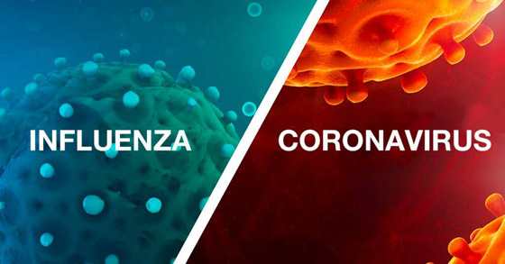 في فصل الربيع.. كيف نفرق بين الحساسية والإنفلونزا وكورونا؟ صورة رقم 1