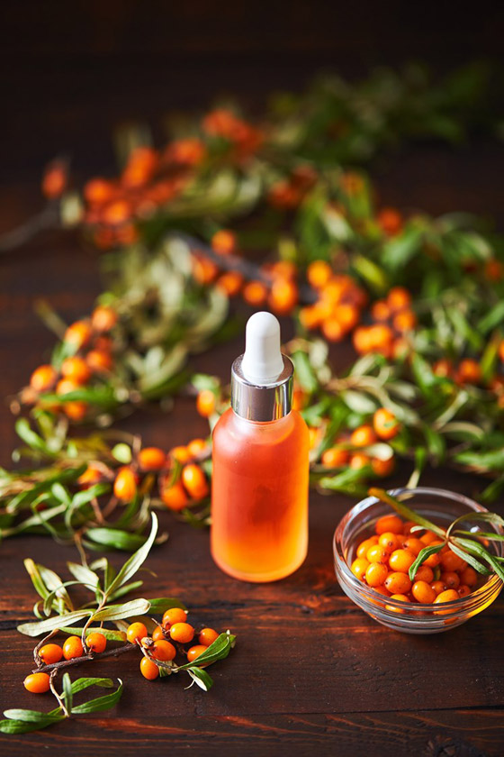 داعم قوي في علاج المرض الخبيث.. ماهي فوائد النبق؟ صورة رقم 5