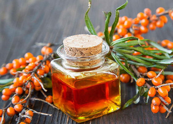 داعم قوي في علاج المرض الخبيث.. ماهي فوائد النبق؟ صورة رقم 6