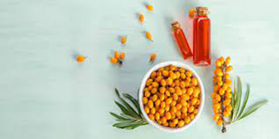 داعم قوي في علاج المرض الخبيث.. ماهي فوائد النبق؟ صورة رقم 10