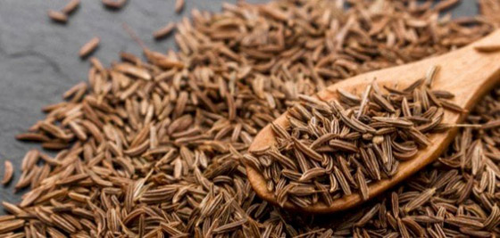 اعرف فوائد شاى الكمون والكزبرة والشمر.. تقوية المناعة الأبرز صورة رقم 5