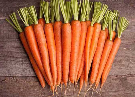 7 فوائد صحية لتناول الجزر فى الصيف صورة رقم 2