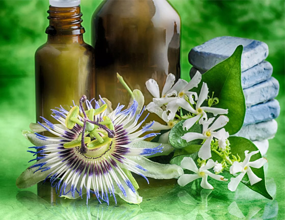 تُعالج الأرق ومشاكل المعدة.. 4 فوائد صحية لعشبة 