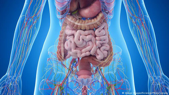 أفضل العصائر لتخفيف أعراض التهاب القولون التقرحي صورة رقم 7 أفضل العصائر لتخفيف أعراض التهاب القولون التقرحي صورة رقم 7