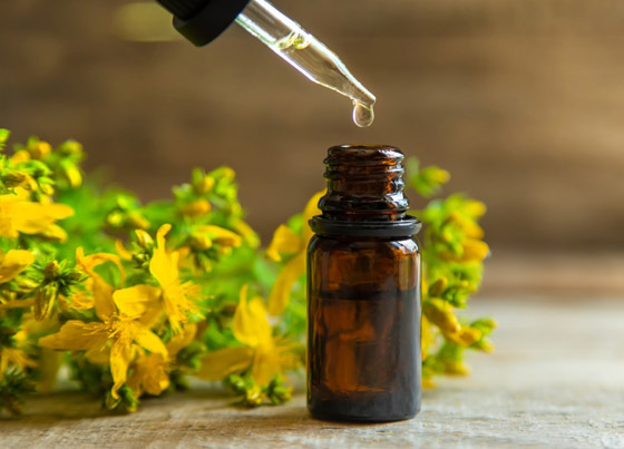 تقي من السرطان وعلاج فعال للاكتئاب.. فوائد عشبة العرن المثقوب صورة رقم 3 تقي من السرطان وعلاج فعال للاكتئاب.. فوائد عشبة العرن المثقوب صورة رقم 3