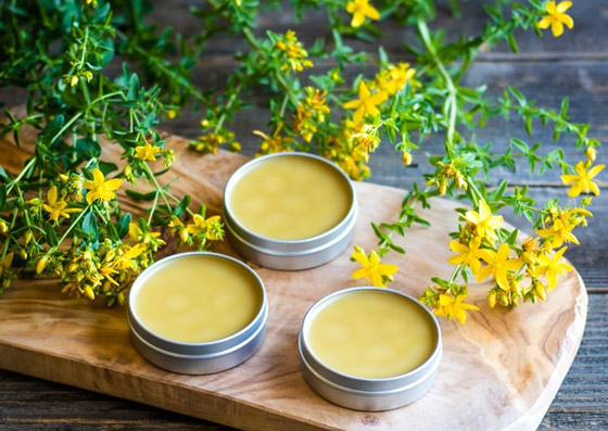 تقي من السرطان وعلاج فعال للاكتئاب.. فوائد عشبة العرن المثقوب صورة رقم 4 تقي من السرطان وعلاج فعال للاكتئاب.. فوائد عشبة العرن المثقوب صورة رقم 4