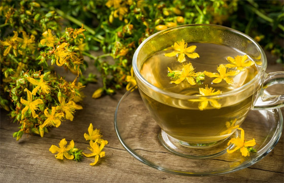 تقي من السرطان وعلاج فعال للاكتئاب.. فوائد عشبة العرن المثقوب صورة رقم 2 تقي من السرطان وعلاج فعال للاكتئاب.. فوائد عشبة العرن المثقوب صورة رقم 2