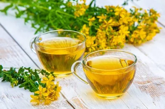 تقي من السرطان وعلاج فعال للاكتئاب.. فوائد عشبة العرن المثقوب صورة رقم 5 تقي من السرطان وعلاج فعال للاكتئاب.. فوائد عشبة العرن المثقوب صورة رقم 5