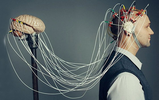 صورة رقم 1 - تقنية مثيرة للاهتمام حول قراءة الأفكار.. دراسة تكشف المدهش صورة رقم 1 - تقنية مثيرة للاهتمام حول قراءة الأفكار.. دراسة تكشف المدهش