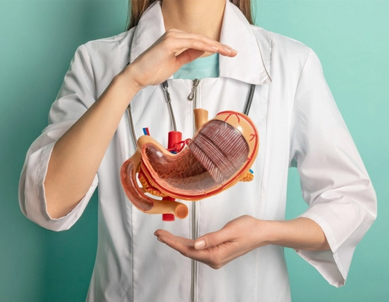 دون معدة أو نصف دماغ! 7 أعضاء داخلية مهمة يمكن العيش بدونها صورة رقم 2