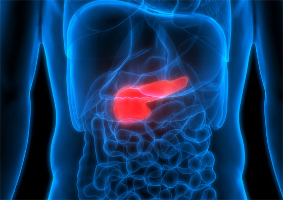 دون معدة أو نصف دماغ! 7 أعضاء داخلية مهمة يمكن العيش بدونها صورة رقم 8