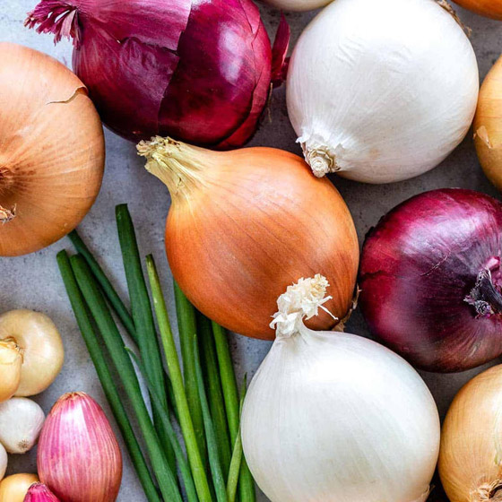 5 فوائد لتناول البصل لمرضى السكرى ..أبرزها تحسين الجهاز الهضمى صورة رقم 2