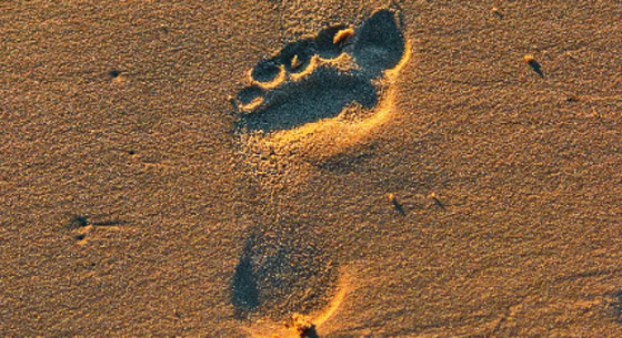    2 -       
