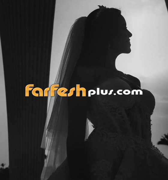 صورة رقم 14 - فيديوهات وصور: حفل زفاف الفنان يوسف ماجد الكدواني، ووصلة رقص للعروسين صورة رقم 14 - فيديوهات وصور: حفل زفاف الفنان يوسف ماجد الكدواني، ووصلة رقص للعروسين