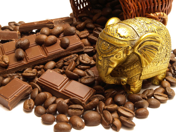 صورة رقم 1 - مشروم سعره 2000 دولار!.. إليكم أغلى أنواع الأطعمة حول العالم صورة رقم 1 - مشروم سعره 2000 دولار!.. إليكم أغلى أنواع الأطعمة حول العالم