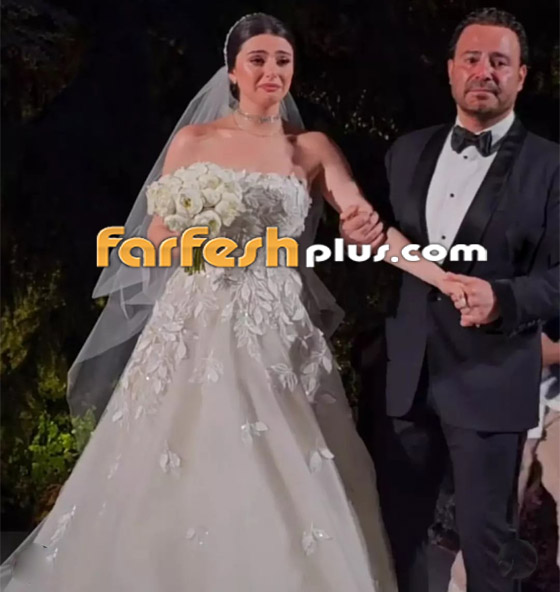 كيف علق عاصي الحلاني على خبر إنفصال ابنته ماريتا عن زوجها؟ صورة رقم 2