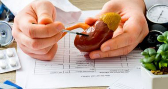 خطوات ضرورية وأخرى ممنوعة.. نصائح مهمة لمرضى الكلى صورة رقم 5