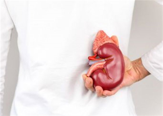 خطوات ضرورية وأخرى ممنوعة.. نصائح مهمة لمرضى الكلى صورة رقم 10