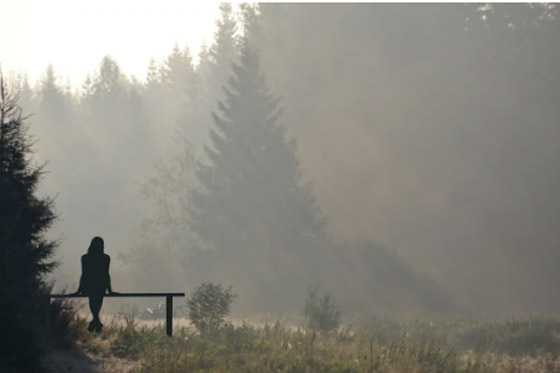منها شرب الشاي الأخضر.. 8 عادات يابانية تمنحك الصحة صورة رقم 7