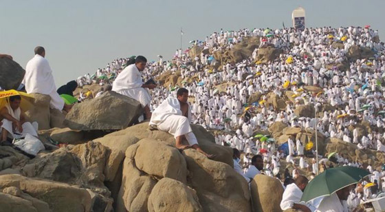 صورة رقم 5 - طبيب يوجه نصائح إلى الحجاج للوقاية من ضربات الشمس صورة رقم 5 - طبيب يوجه نصائح إلى الحجاج للوقاية من ضربات الشمس