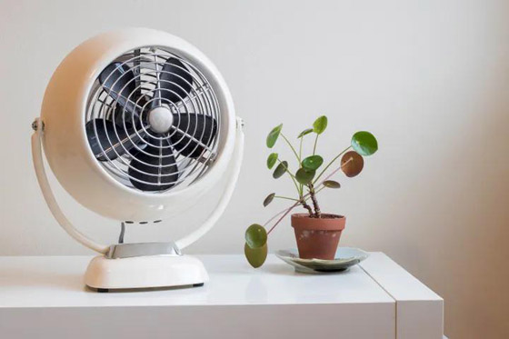 احذر: مروحة السقف تسبب في الليل جفاف العين وتصلب الرقبة صورة رقم 1 احذر: مروحة السقف تسبب في الليل جفاف العين وتصلب الرقبة صورة رقم 1