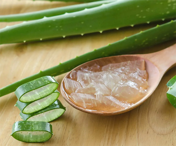 5 استعمالات تجميلية للألوفيرا سوف تفاجئكم.. للعناية بالبشرة صورة رقم 6