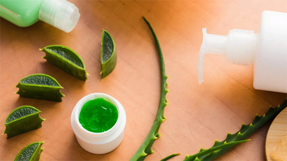 5 استعمالات تجميلية للألوفيرا سوف تفاجئكم.. للعناية بالبشرة صورة رقم 2