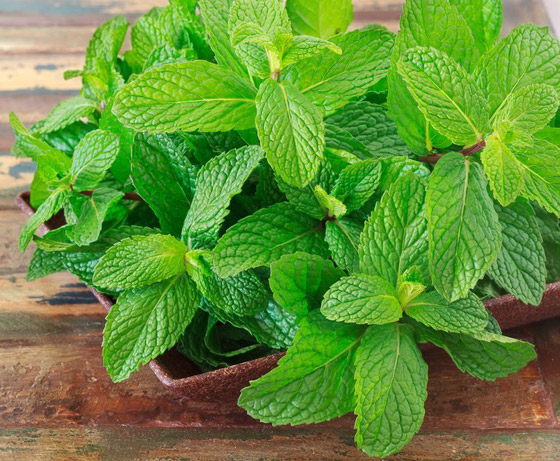 مع دخول الصيف.. 14 من الأطعمة التي تساعد على تخفيض حرارة الجسم صورة رقم 11 مع دخول الصيف.. 14 من الأطعمة التي تساعد على تخفيض حرارة الجسم صورة رقم 11