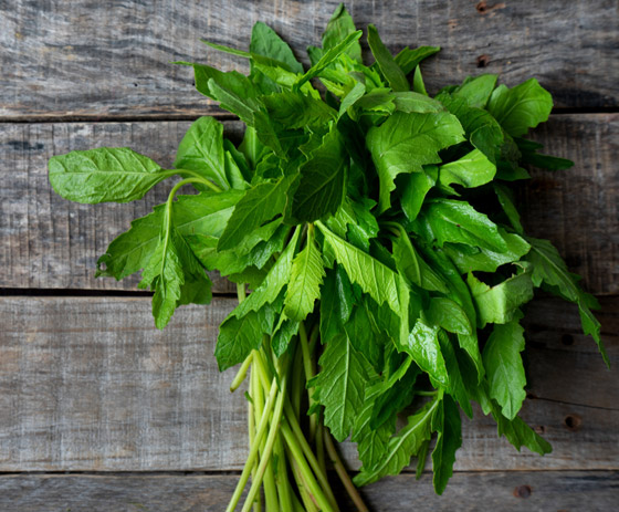 يعزز المناعة والحفاظ على الوزن الصحي.. فوائد نبات إيبازوت واستخداماته صورة رقم 1 يعزز المناعة والحفاظ على الوزن الصحي.. فوائد نبات إيبازوت واستخداماته صورة رقم 1