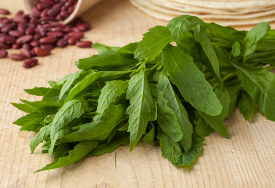 يعزز المناعة والحفاظ على الوزن الصحي.. فوائد نبات إيبازوت واستخداماته صورة رقم 5 يعزز المناعة والحفاظ على الوزن الصحي.. فوائد نبات إيبازوت واستخداماته صورة رقم 5