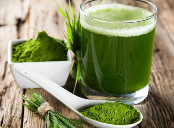 10 فوائذ ستذهلكم عن غذاء خارق مصدره الطحالب صورة رقم 2 10 فوائذ ستذهلكم عن غذاء خارق مصدره الطحالب صورة رقم 2