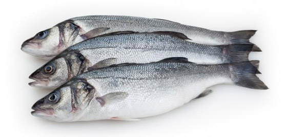 اليكم طريقة تحضير سمك القاروص بالزبدة صورة رقم 5