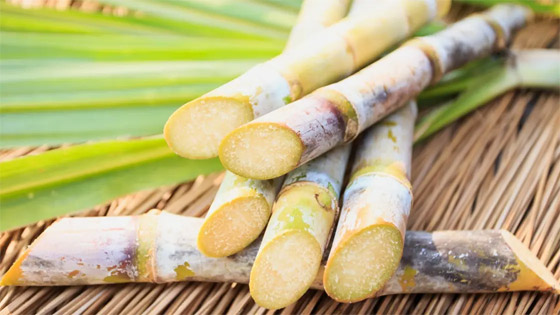 لا يُنصح بتناوله يوميا.. عصير طبيعي مذاقه مدهش وفوائده متعددة صورة رقم 4